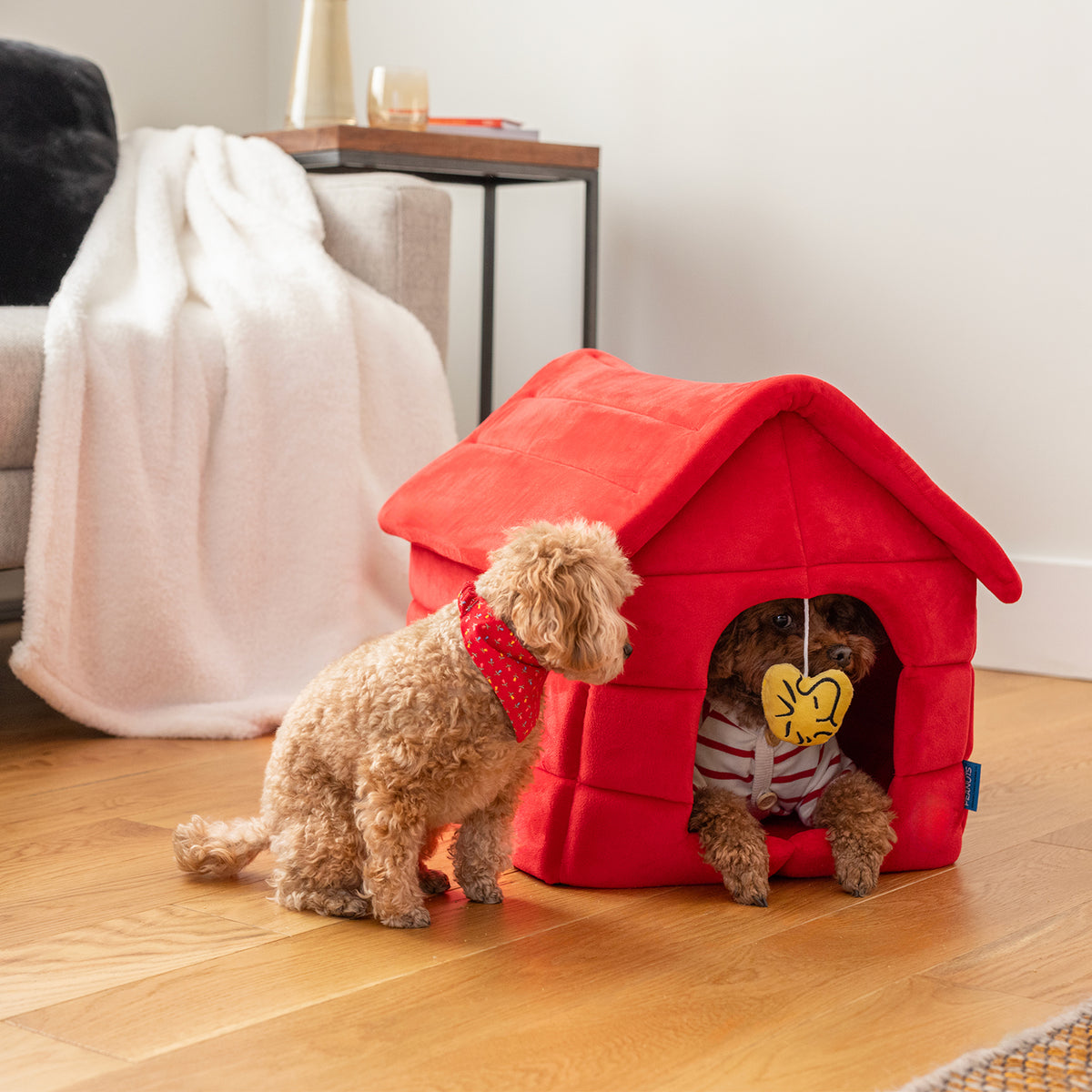 Two dogs sitting inside and near a red peanuts snoopy dog house pet bed.