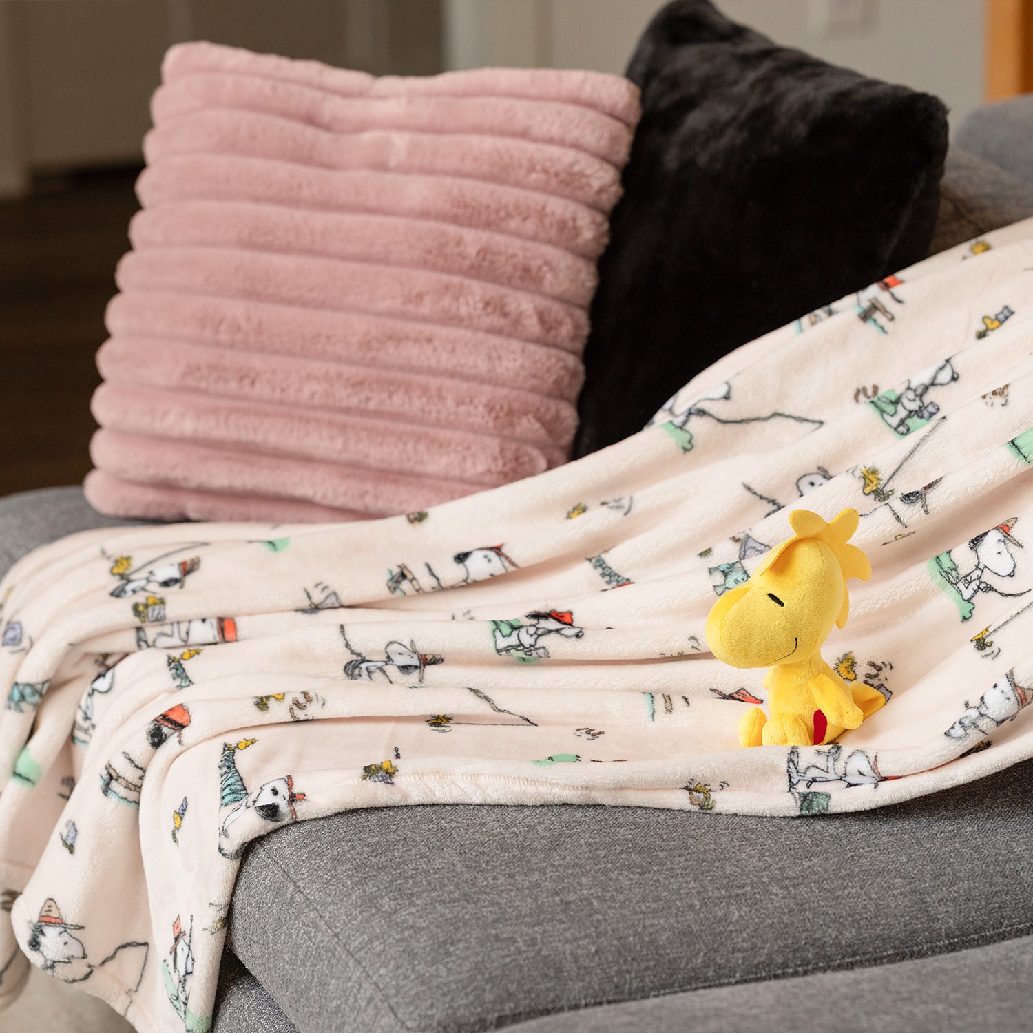 Plush blanket with cartoon characters on a couch with a plush toy
