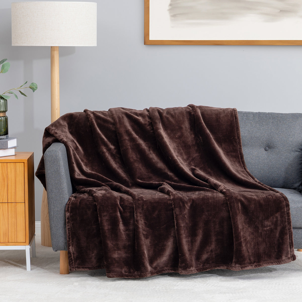 Premium VelvetLoft® Throw in Colt, draped over a gray sofa in a living room