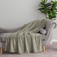 Green blanket draped over a gray sofa with a plant in the background