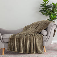 Green blanket draped over a gray sofa with a plant in the background